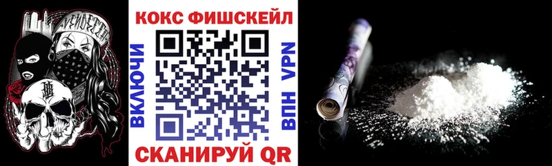 Купить закладки  Чердынь  Cocaine Fish Scale 